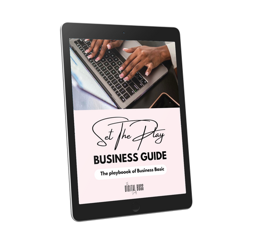 Set The Play Business Guide (Resell Rights Included)